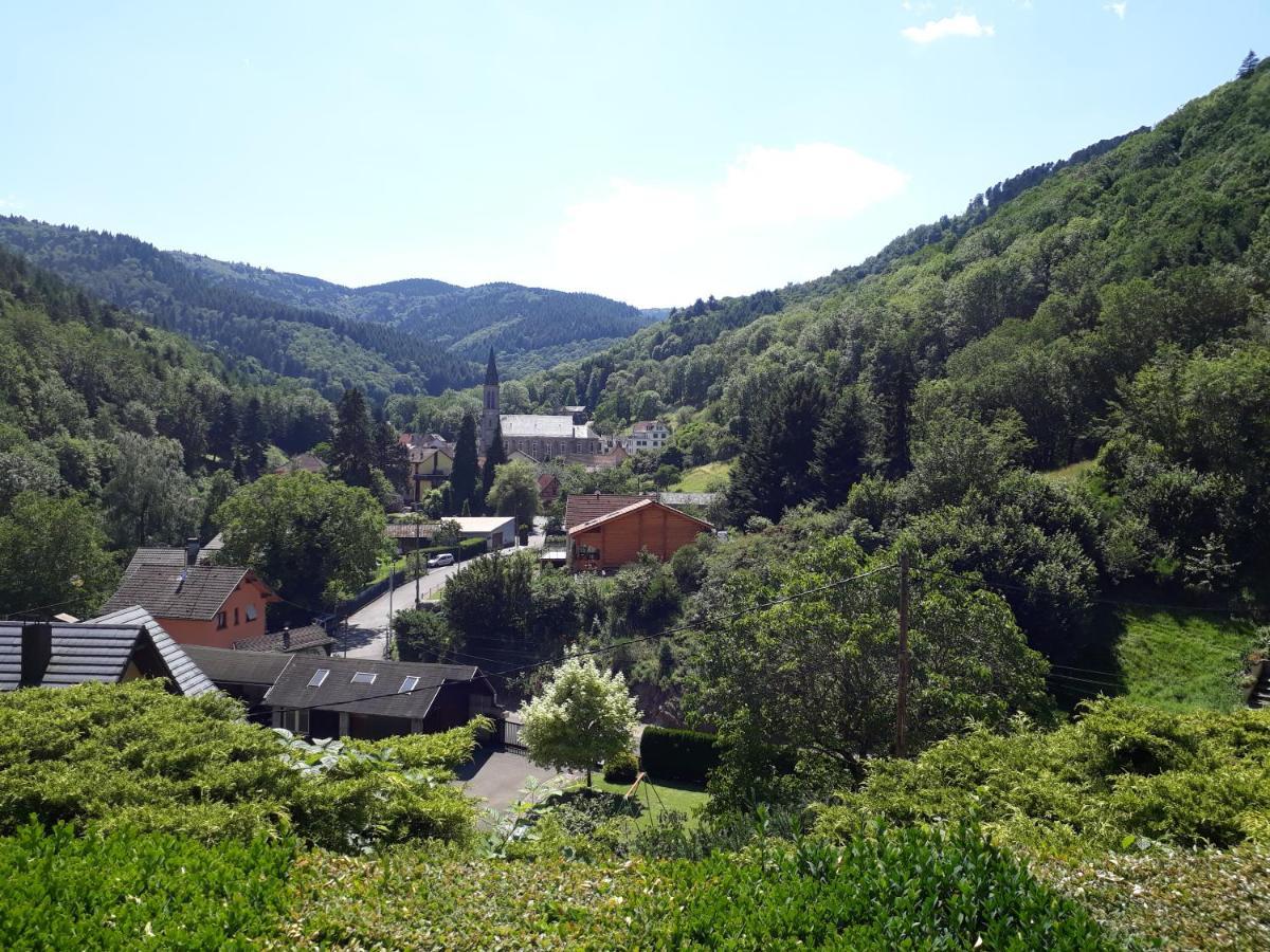 Un Air D'Alsace Βίλα Rimbach-près-Guebwiller Εξωτερικό φωτογραφία